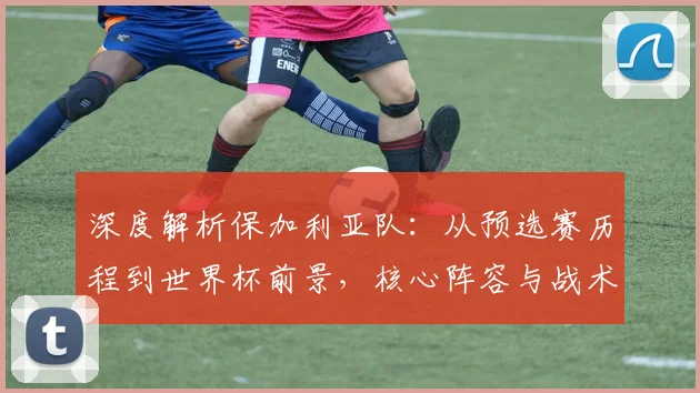 深度解析保加利亚队：从预选赛历程到世界杯前景，核心阵容与战术全预测