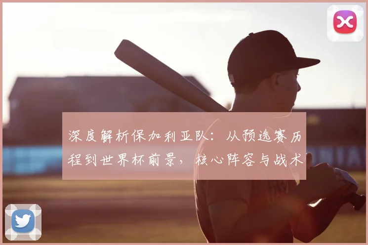 深度解析保加利亚队:从预选赛历程到世界杯前景,核心阵容与战术全预测